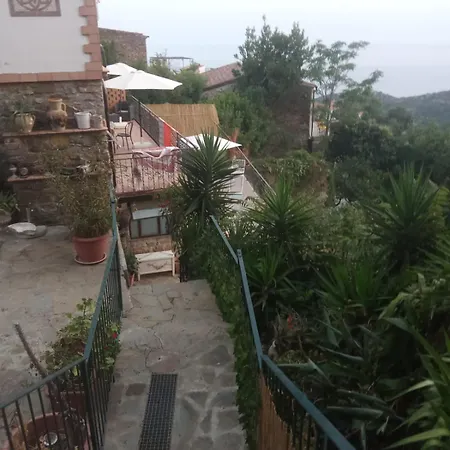 Irma2 Поллика